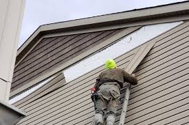 Best Siding Painting and Refinishing  in Ilion, NY